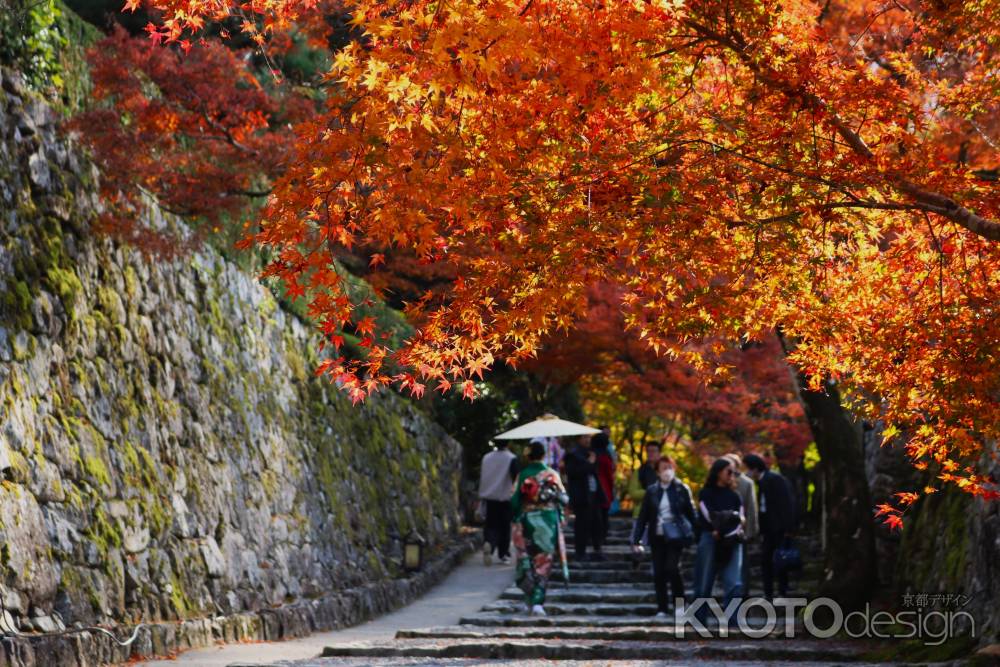 大原三千院 艶やかな紅葉