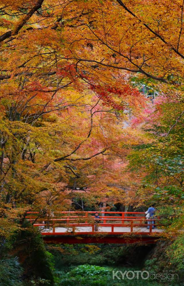 大原三千院 赤橋