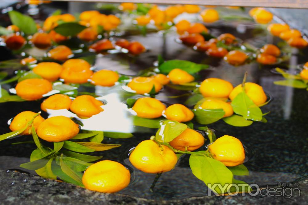上賀茂神社　初詣　橘花手水