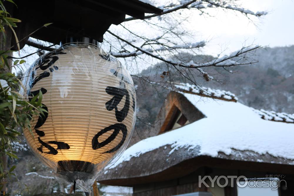 嵐山公園　冬景色