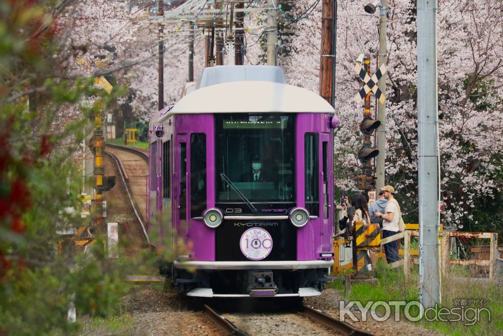 嵐電さくらのトンネル