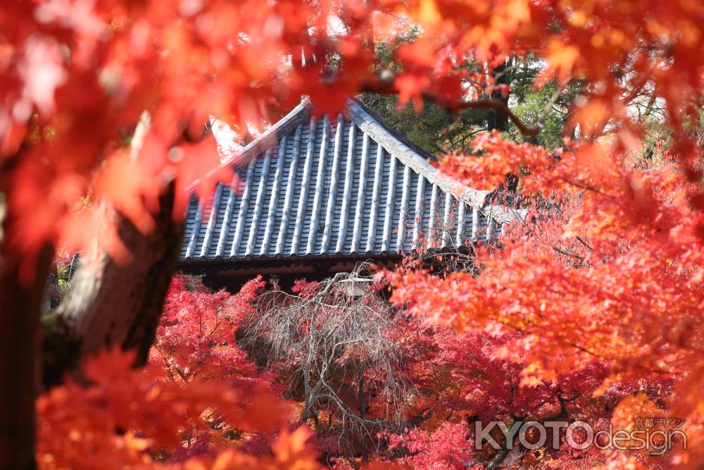 永観堂　寺