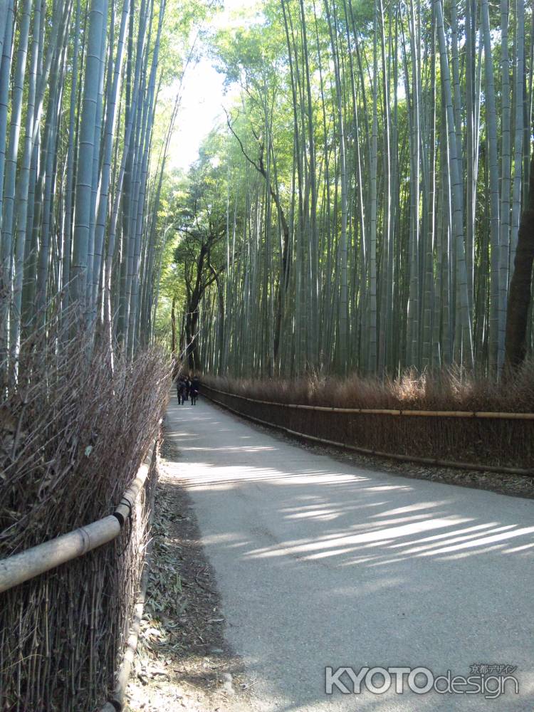 嵯峨野竹林2012　2