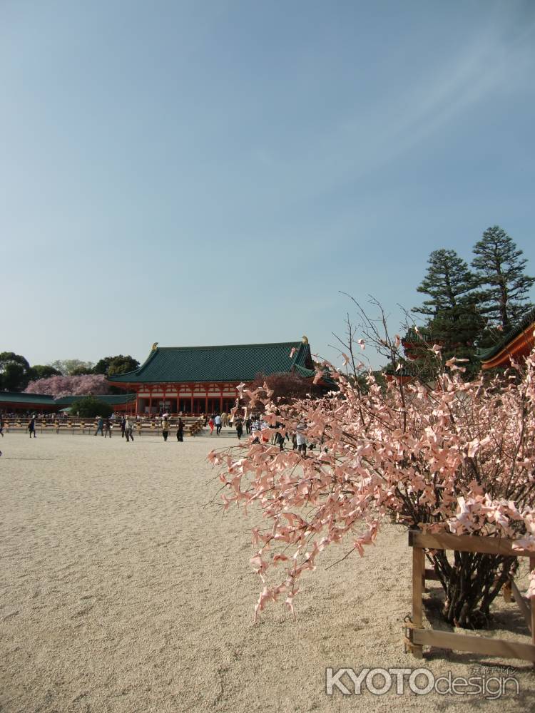 2013平安神宮　桜おみくじ