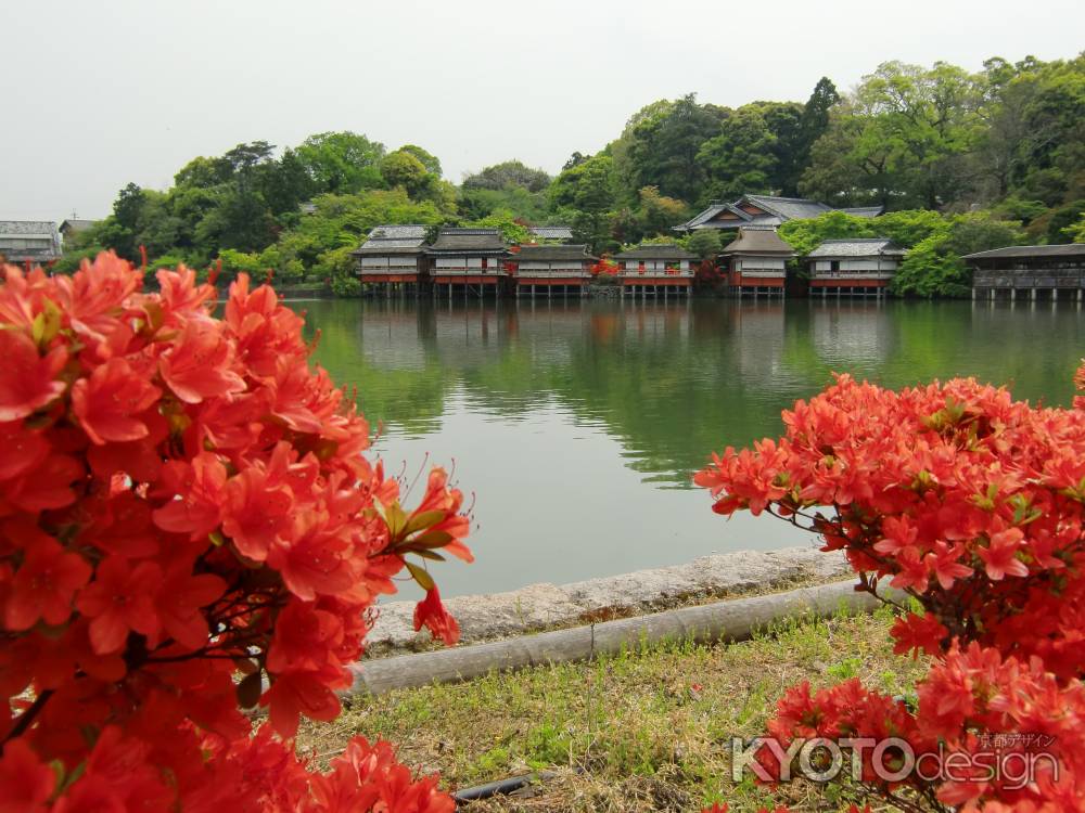 長岡天満宮3