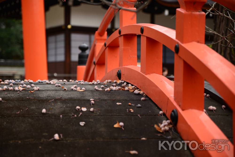 下鴨神社