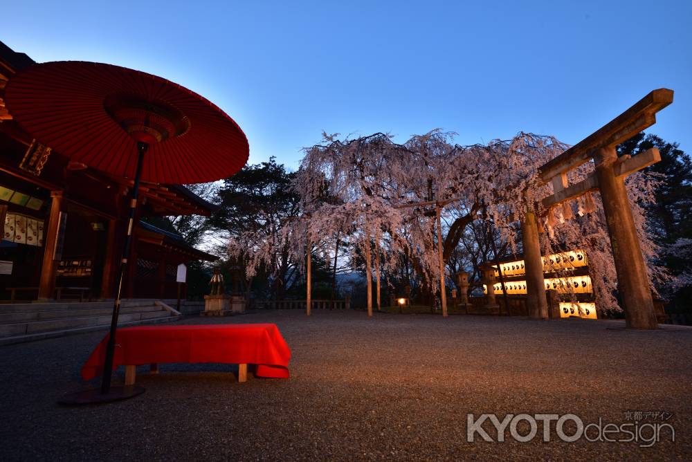 大石神社の夜桜