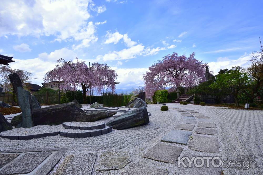 雲母の枝垂れ桜