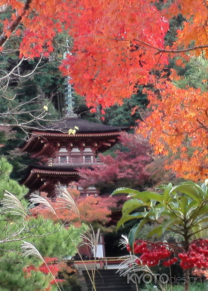 浄瑠璃寺の紅葉