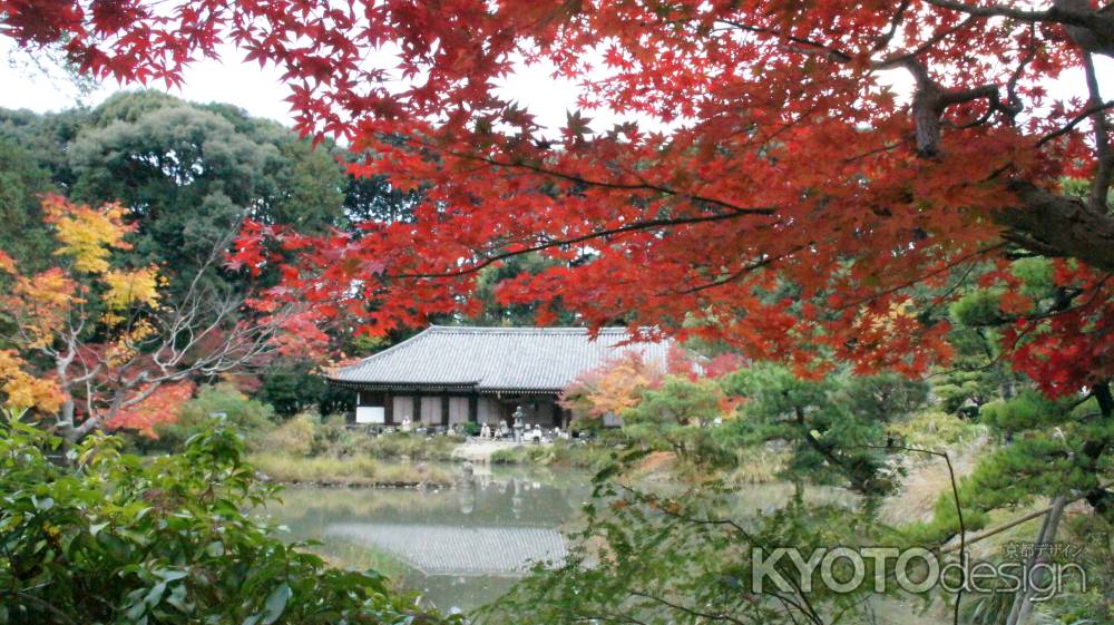 浄瑠璃寺の九体阿弥陀堂