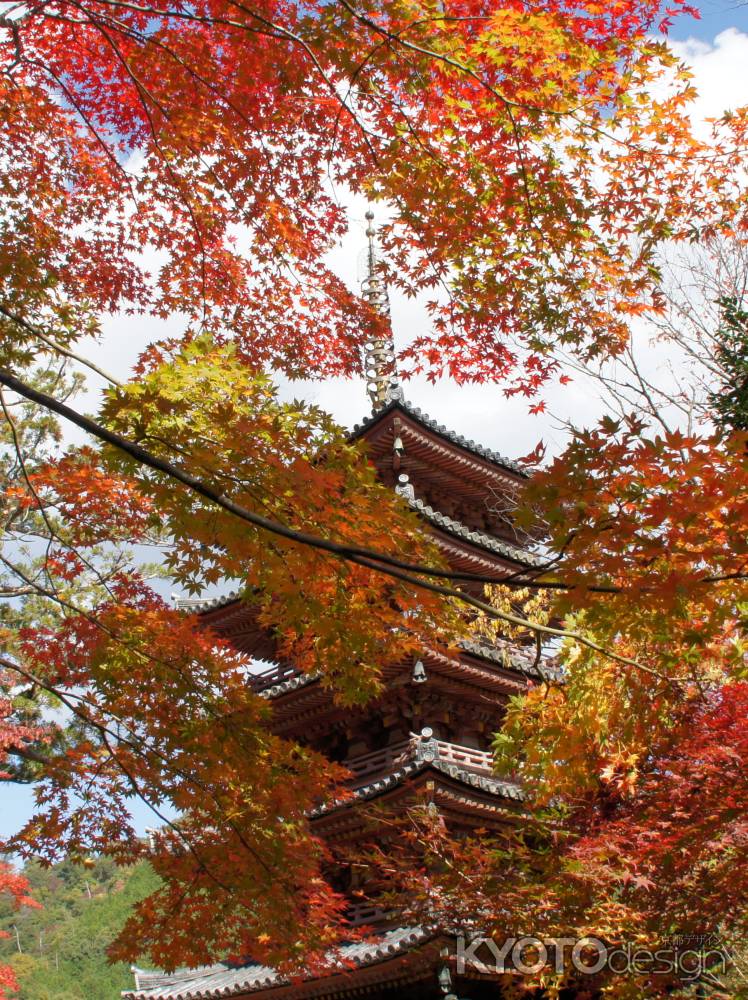 紅葉の降り注ぐ海住山寺五重塔