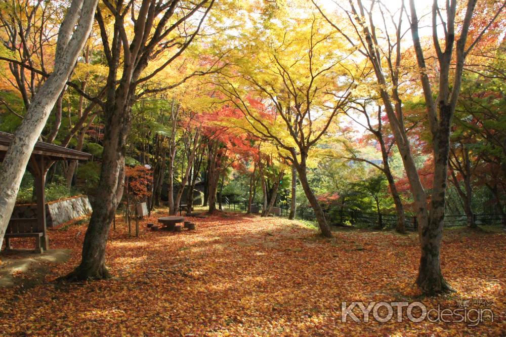 笠置もみじ公園ー３