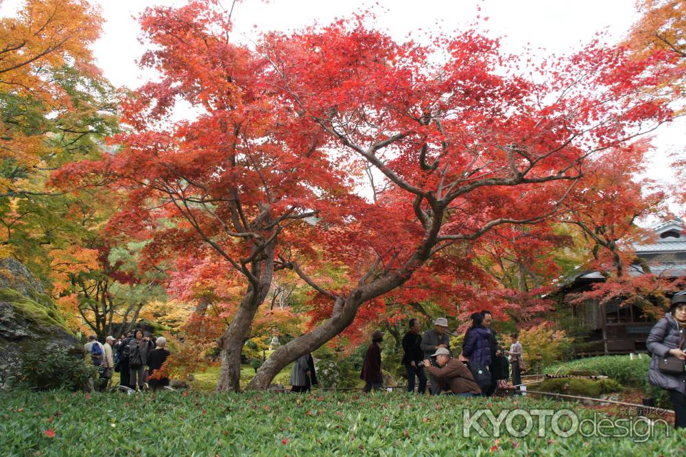 宝厳院－４