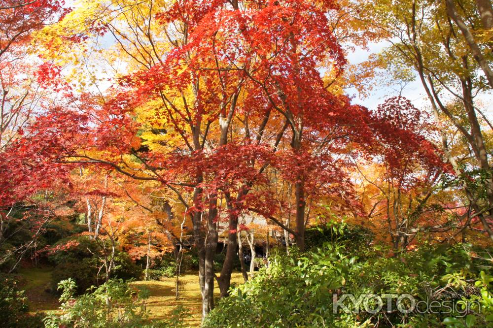 大河内山荘ー６