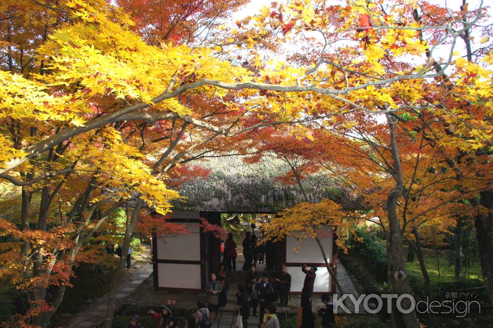 常寂光寺－５