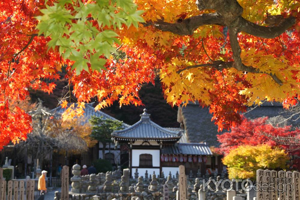 化野念仏寺ー７