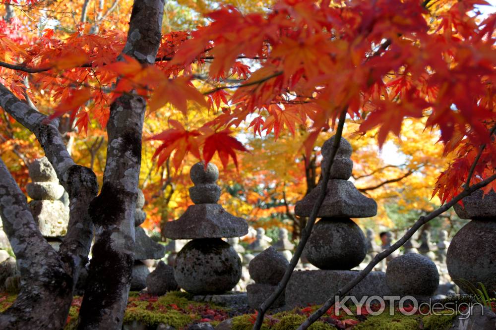 化野念仏寺－１３