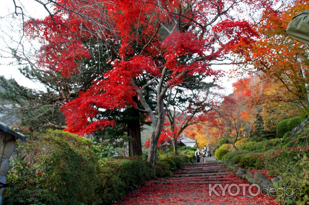 善峯寺－５