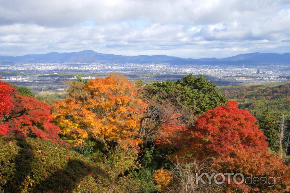 善峯寺－１０