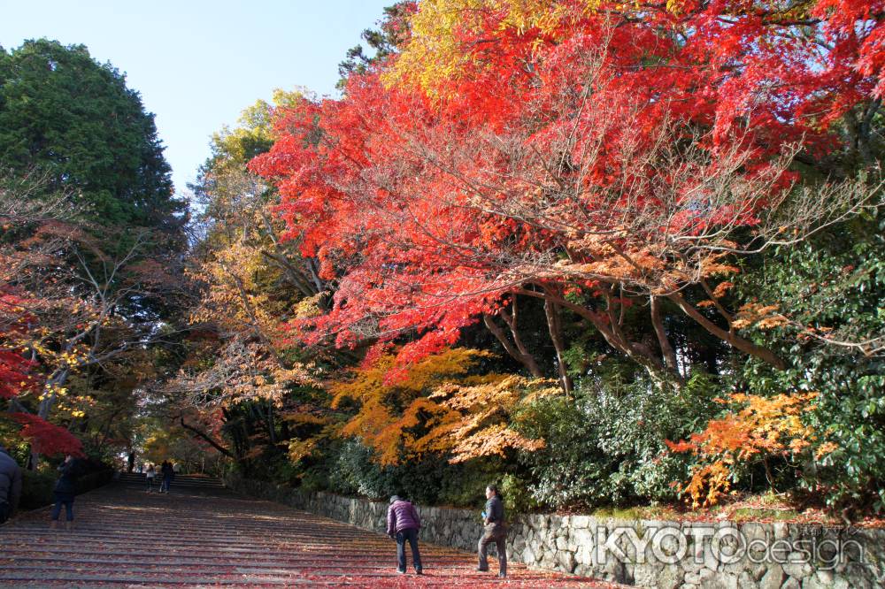 光明寺－３