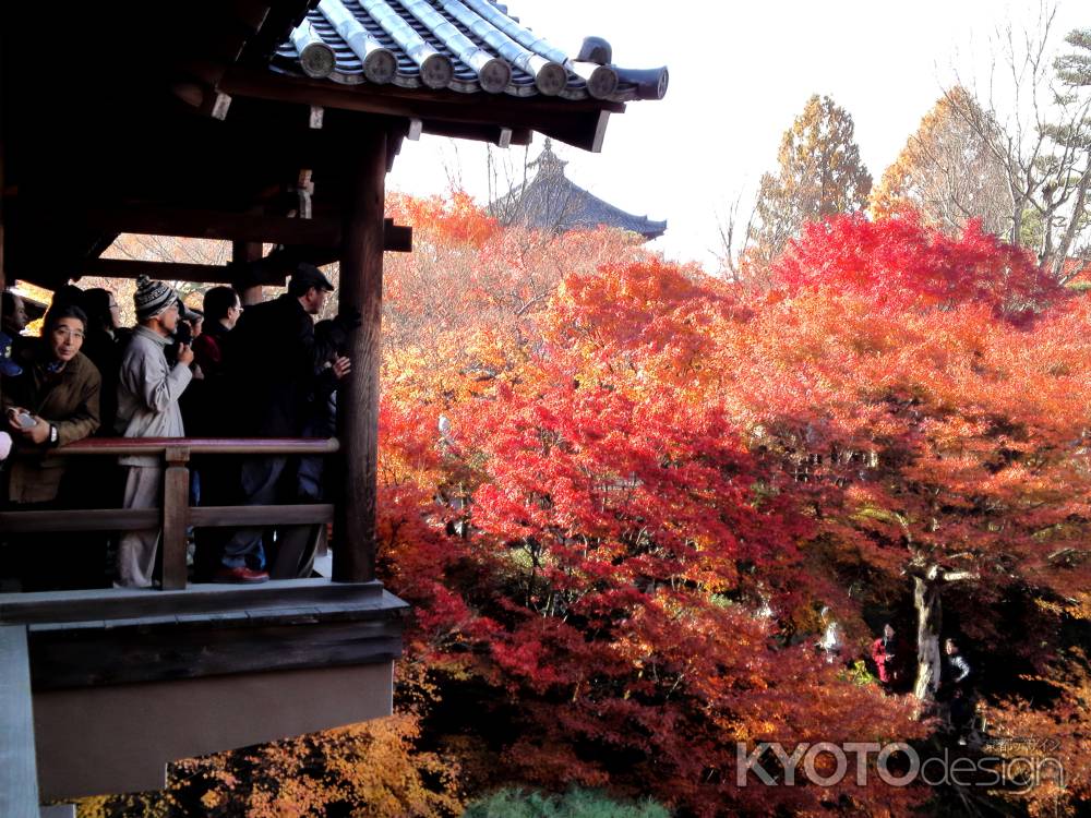 東福寺－１０