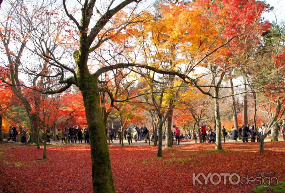 東福寺－１４