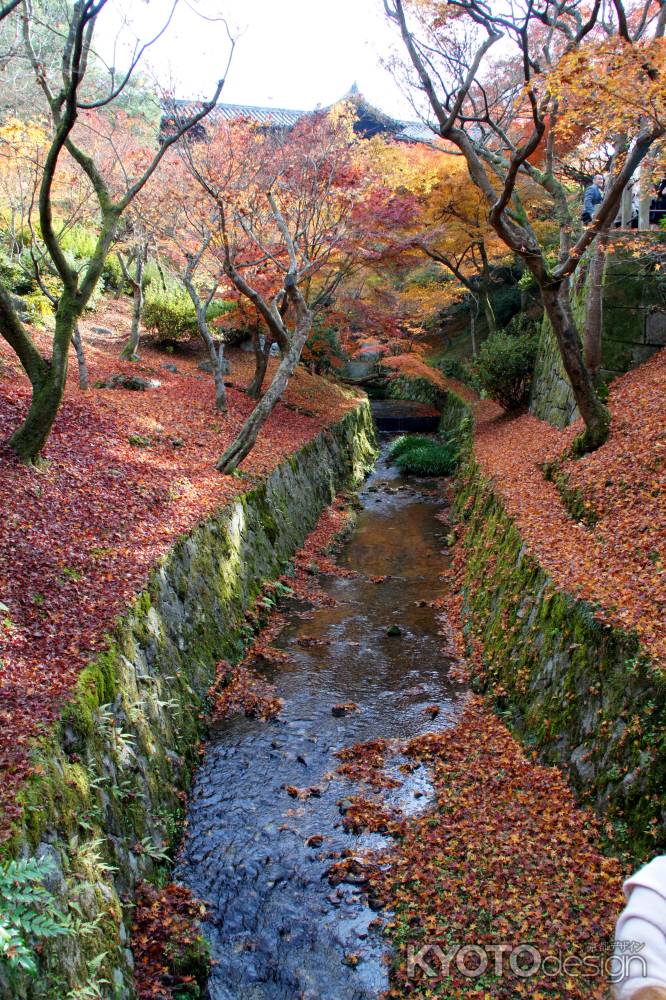 東福寺ー１５