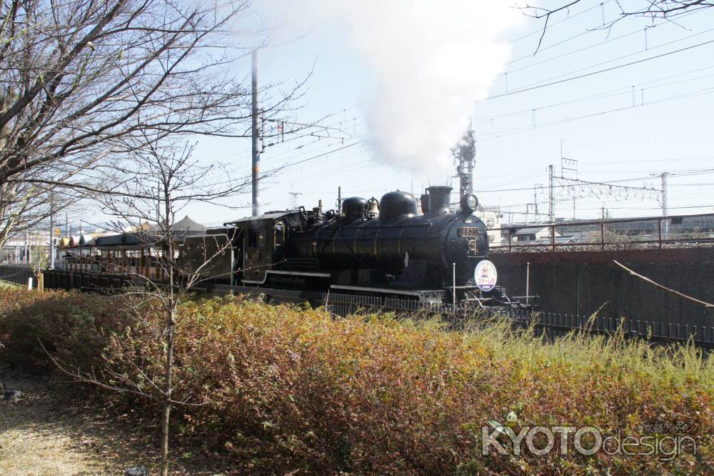 梅小路公園の蒸気機関車