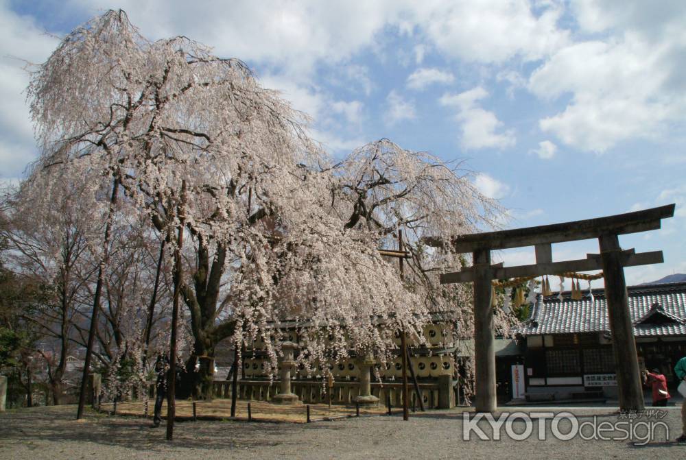 大石神社ー４