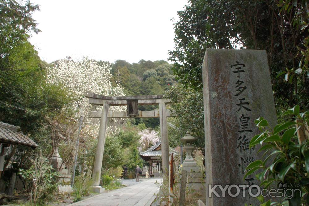 大豊神社ー３