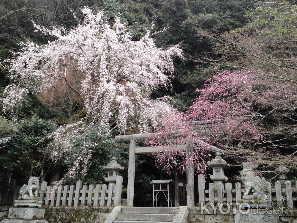 大豊神社ー４