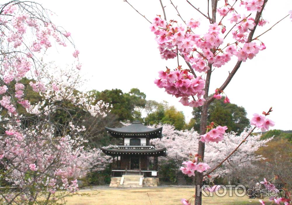 勧修寺－８　