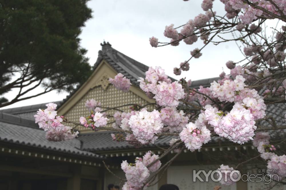 醍醐寺－１２