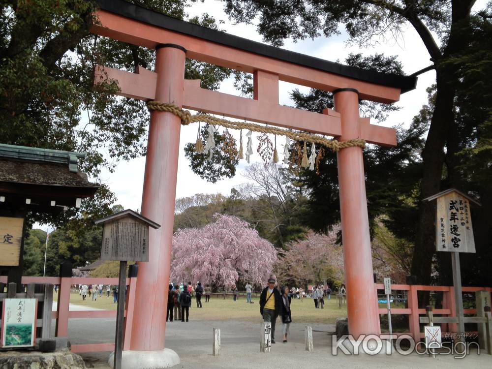 上賀茂神社－１