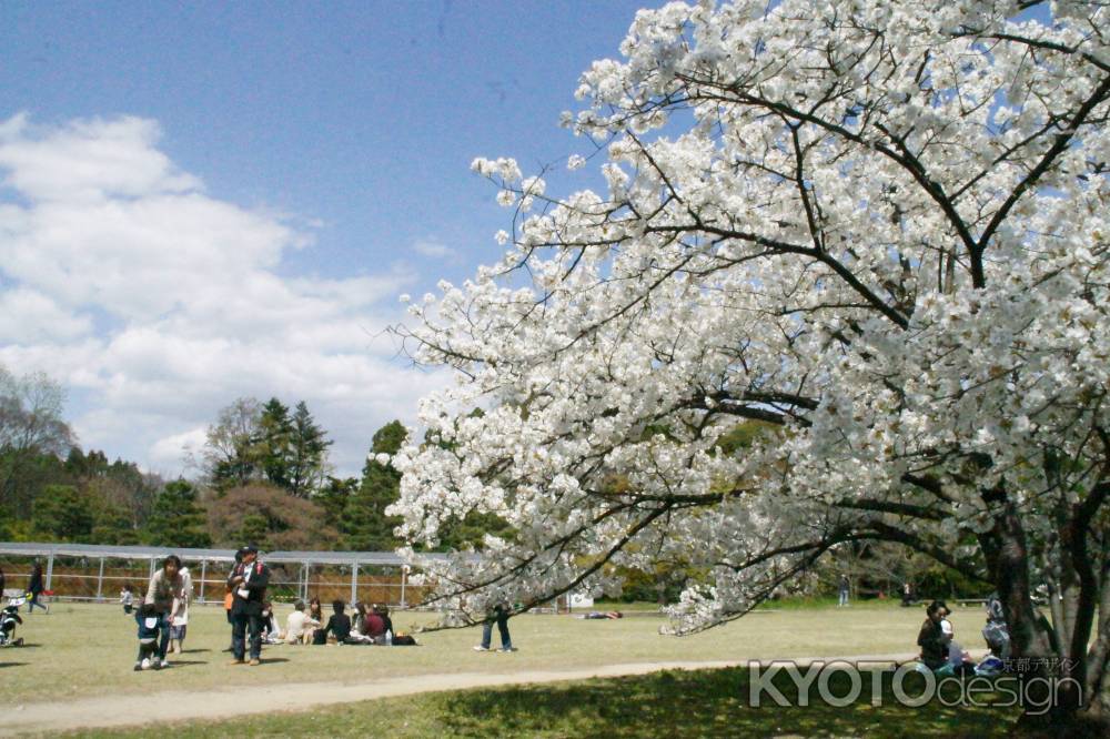 京都府立植物園ー２