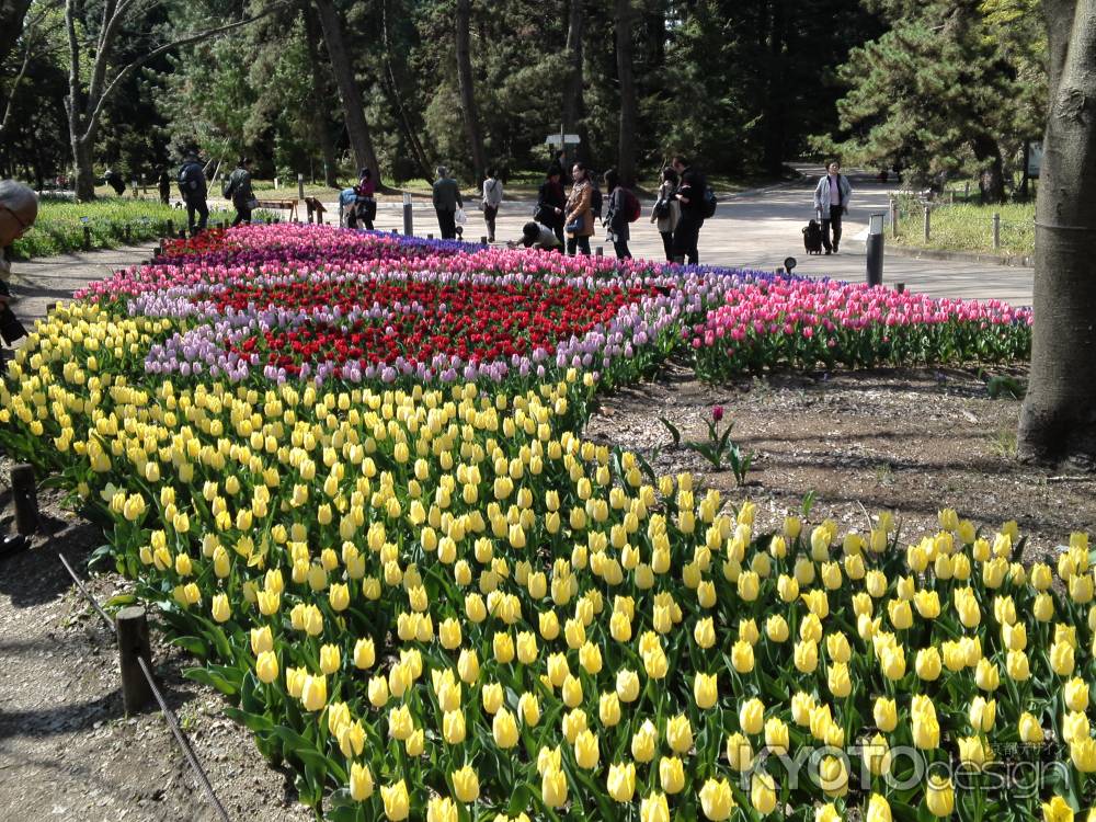 京都府立植物園ー１１