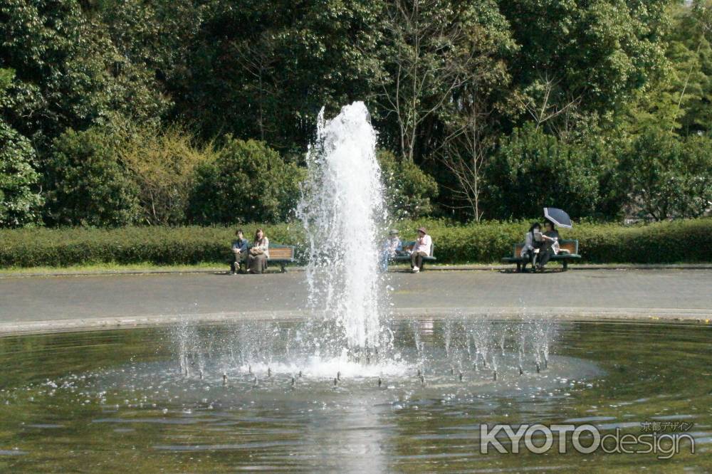 京都府立植物園ー１３