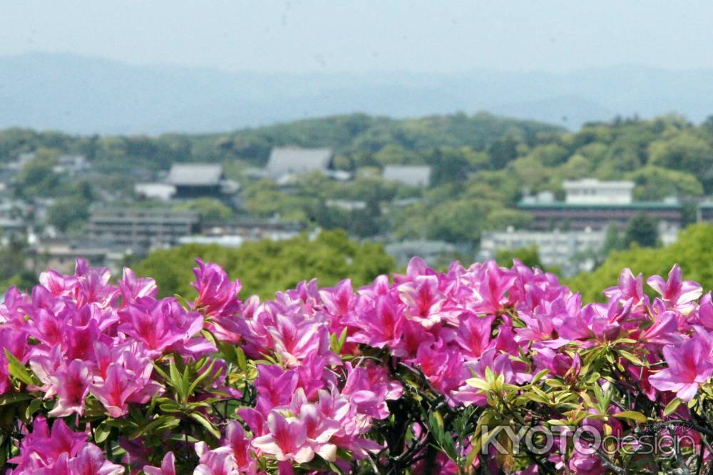 蹴上浄水場ー９