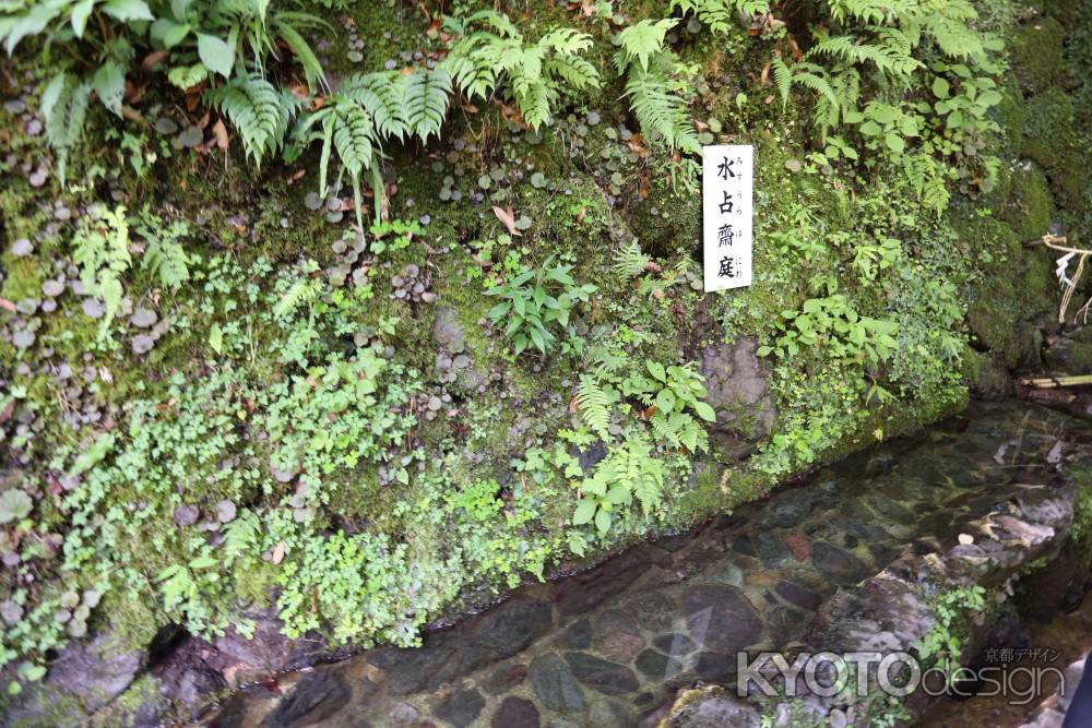 貴船神社 神水