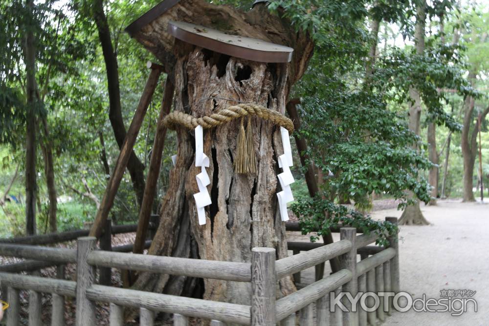 下鴨神社 糺の森②