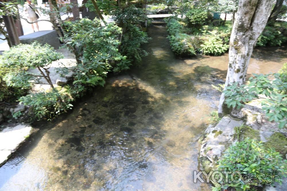 上賀茂神社 境内ならの小川②