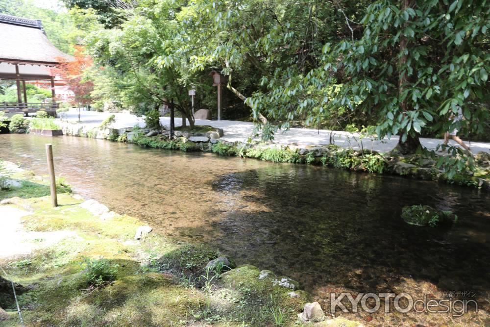 上賀茂神社 ならの小川①