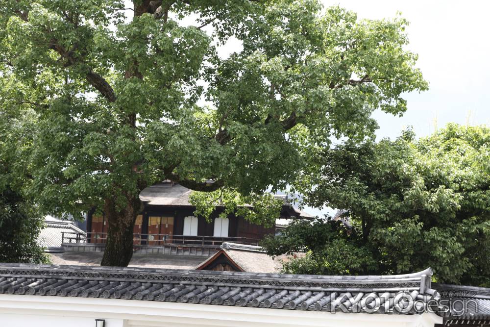 西本願寺 飛雲閣