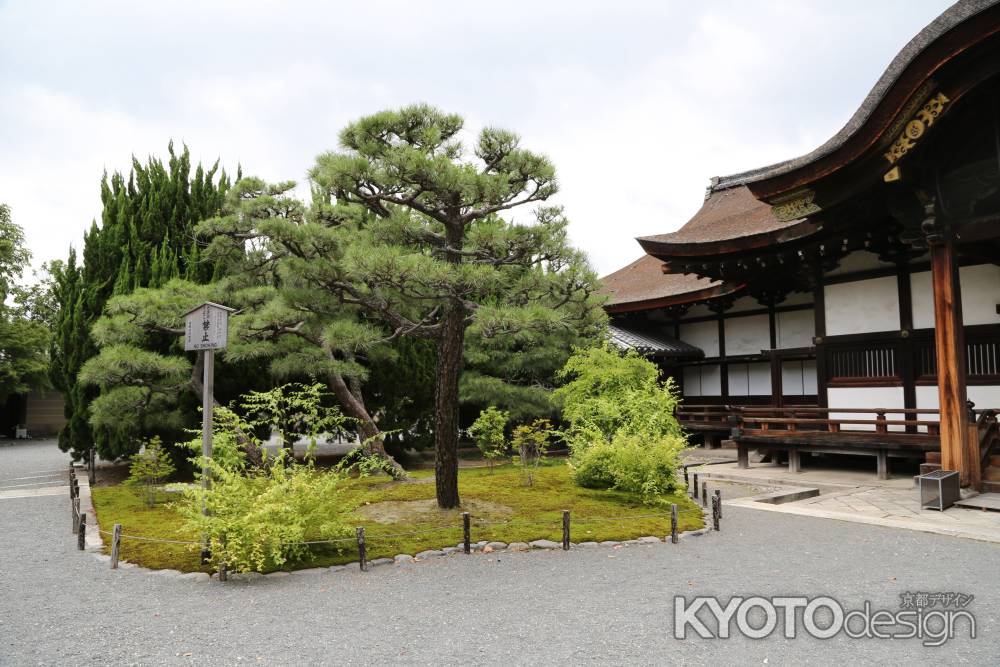 西本願寺 書院②