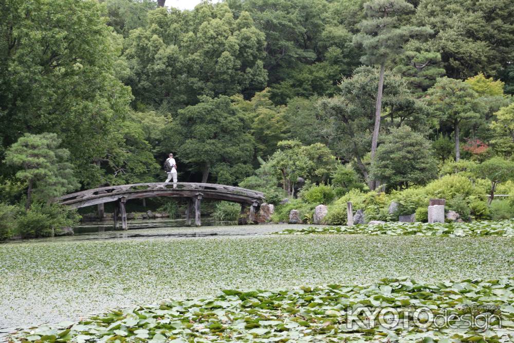 涉成園 印月池 侵雪橋