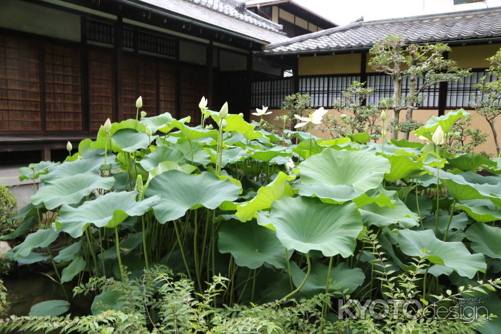 涉成園 園林堂(持仏堂) 盧庵(茶室)