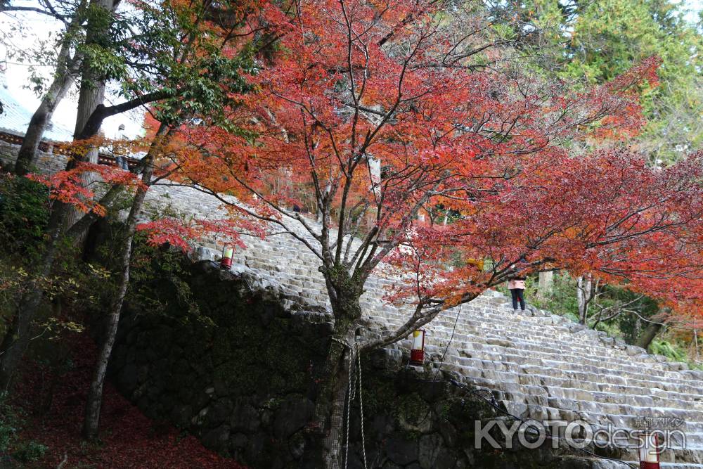 神護寺 金堂下石段