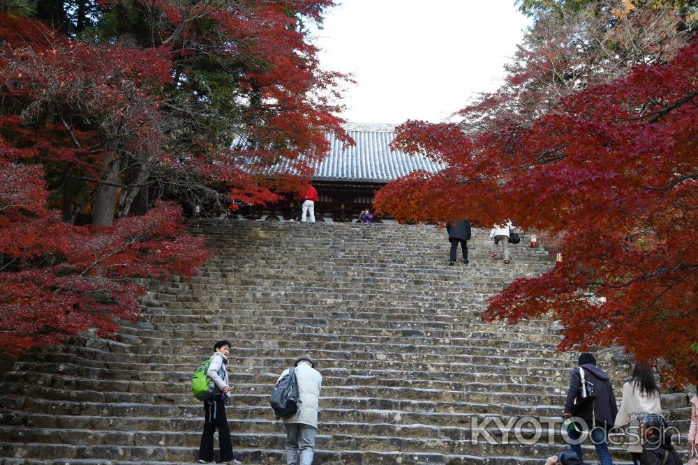 神護寺 金堂