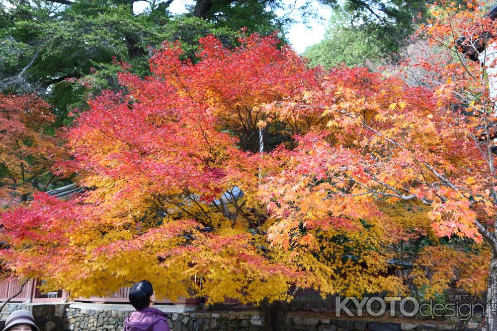 神護寺 境内②