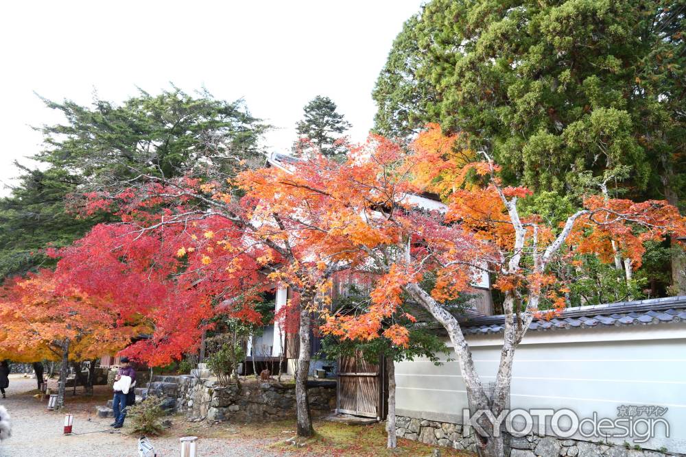 神護寺 境内①